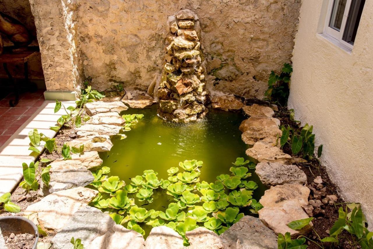 Casa Palmas By Majikal B&B Mérida Extérieur photo